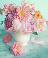 Image Not Available